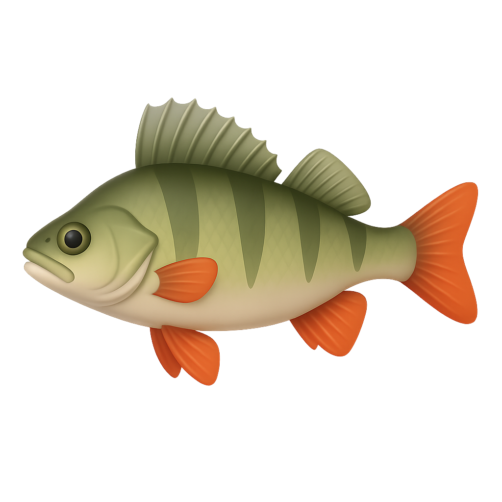 Perch
